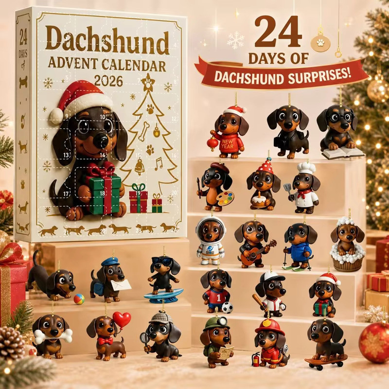 All 24 dachshund ornaments displayed with the advent calendar box