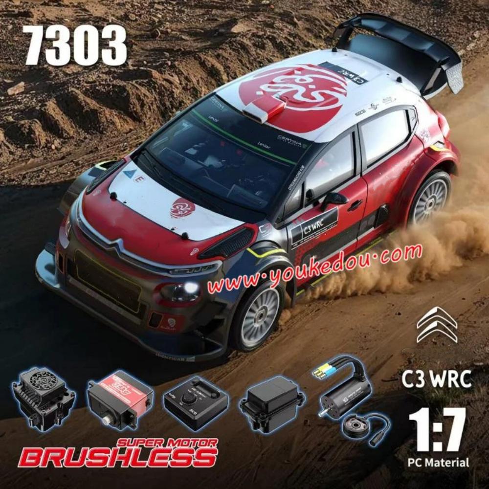 MJX Hyper Go 7303 Rally RC Car1