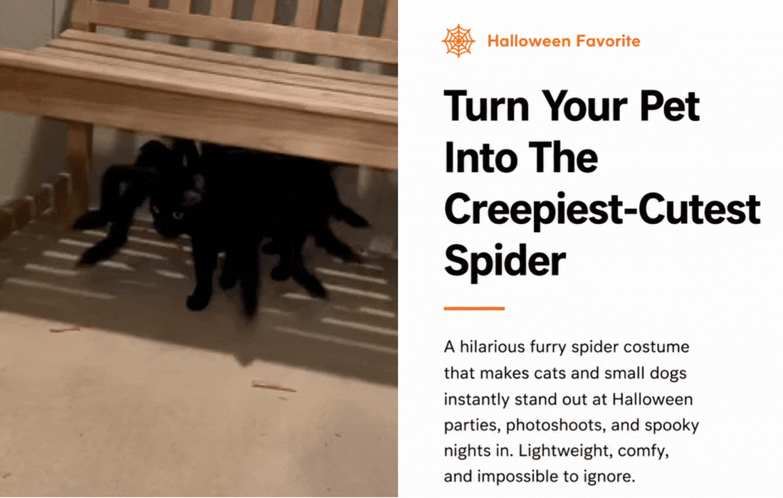 Black cat wearing the Giant Spider costume walking under a bench