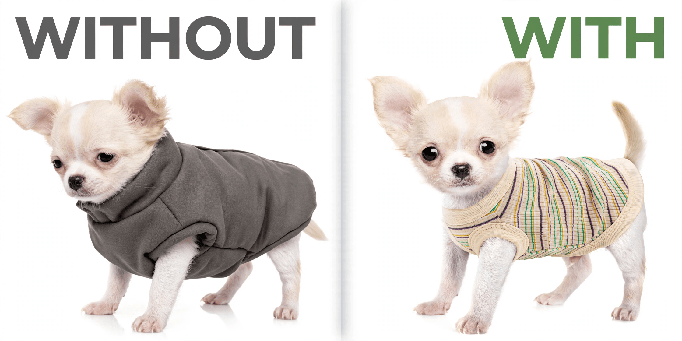 Without vs with the rib knit dog vest – comfort comparison