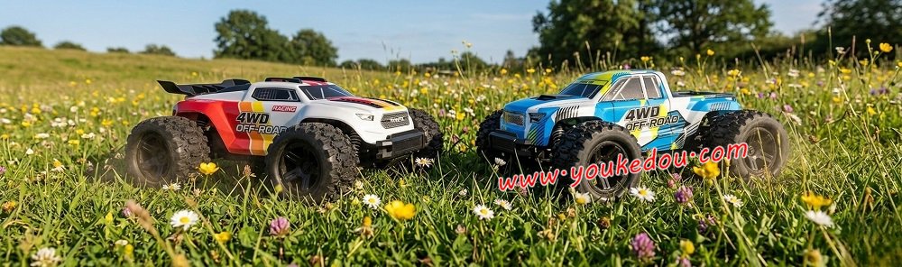 MJX Hyper Go 18208 RC Car